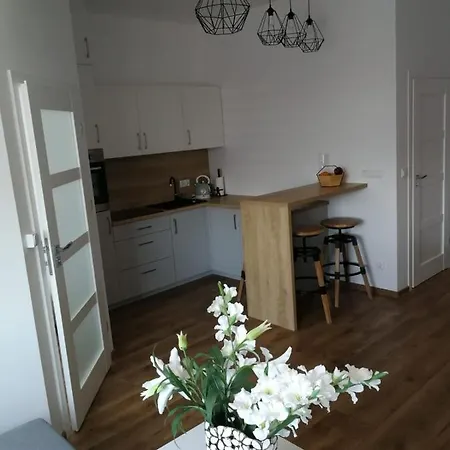 Apartman Liliana *